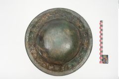 Foto von Bronzebreitrandschale (NHMW-PRAE-023690)